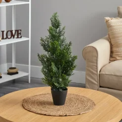 2ft. Potted Mini Cedar Pine Tree