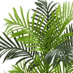 3ft. Potted Paradise Palm Tree