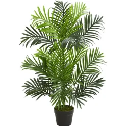 3ft. Potted Paradise Palm Tree