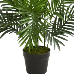3ft. Potted Paradise Palm Tree