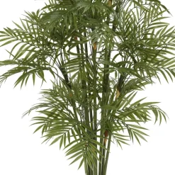 4ft. Potted Parlour Palm Tree