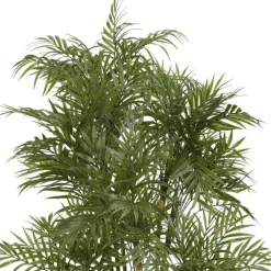 4ft. Potted Parlour Palm Tree