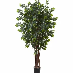 7ft. Potted Sakaki Silk Tree
