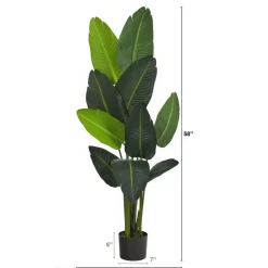 4.8ft. Potted Traveler's Palm Tree