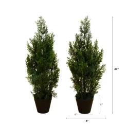 2ft. Potted UV Resistant Cedar Pine Trees, 2ct.