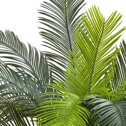 3ft. Potted UV Resistant Cycas Tree