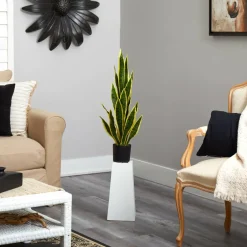 2.5ft. Potted Variegated Snake Plant