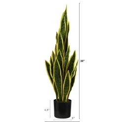 2.5ft. Potted Variegated Snake Plant