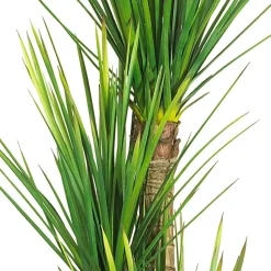 4.8ft. Potted Yucca Tree
