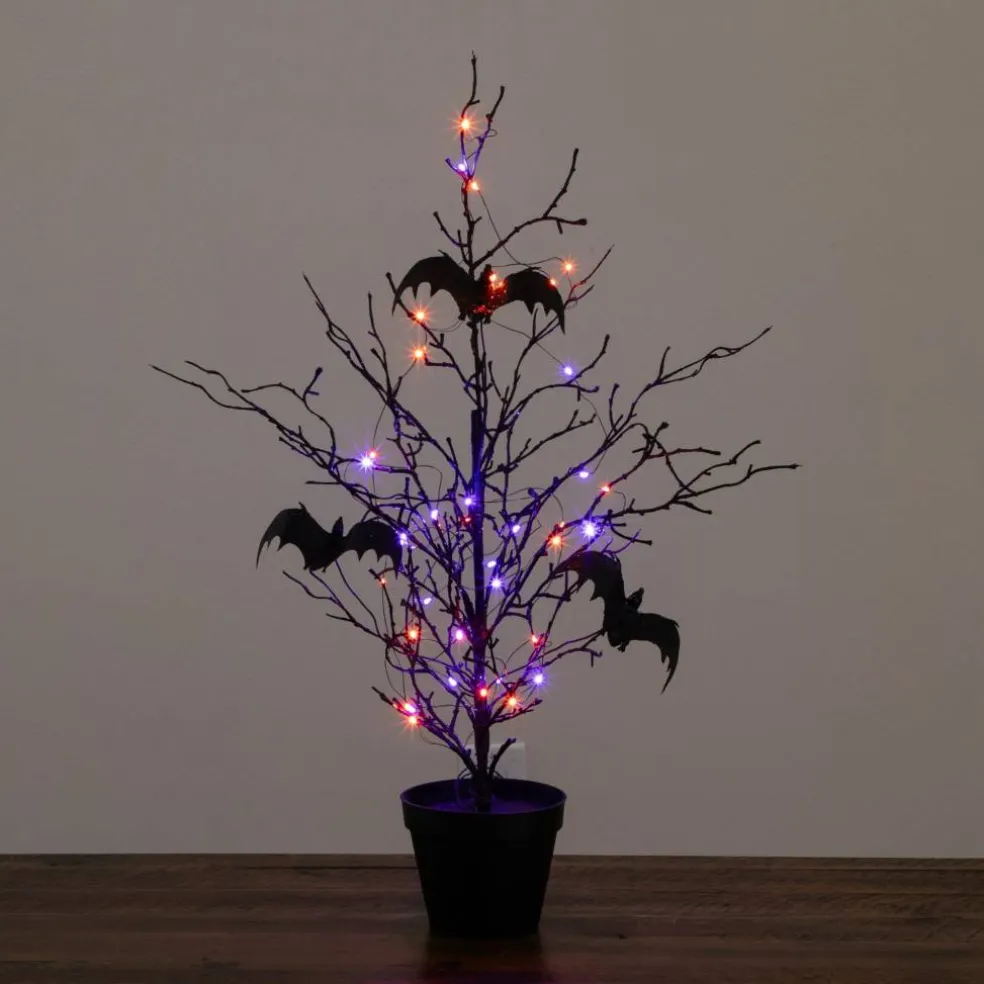 2ft. Pre-Lit Artificial Black Spooky Twig Tree with Bats and 40 Orange & Purple LED Lights
