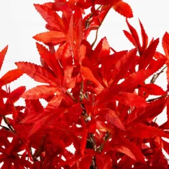 2ft. Pre-Lit Red Autumn Maple Artificial Fall Tree with 50 Warm White LED Lights and Detachable Base