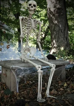 5FT Realistic Poseable Skeleton Prop