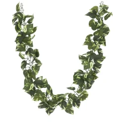 6ft. Variegated Pothos Chain Garland by Ashland®