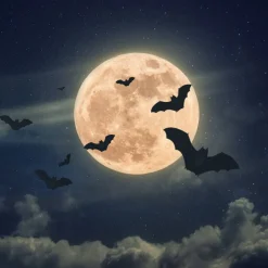 Full Moon: Black Timber & Red Cherry Scented Halloween Candle (12.5 oz)