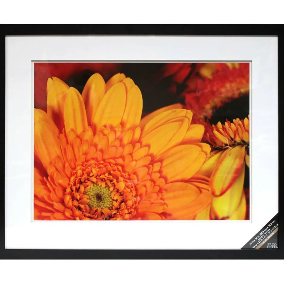 Gallery Black Wall Frame with Double Mat by Studio Décor®