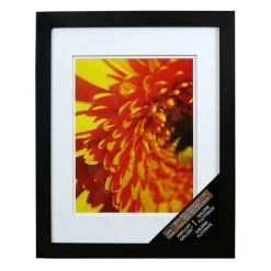 Gallery Black Wall Frame with Double Mat by Studio Décor®