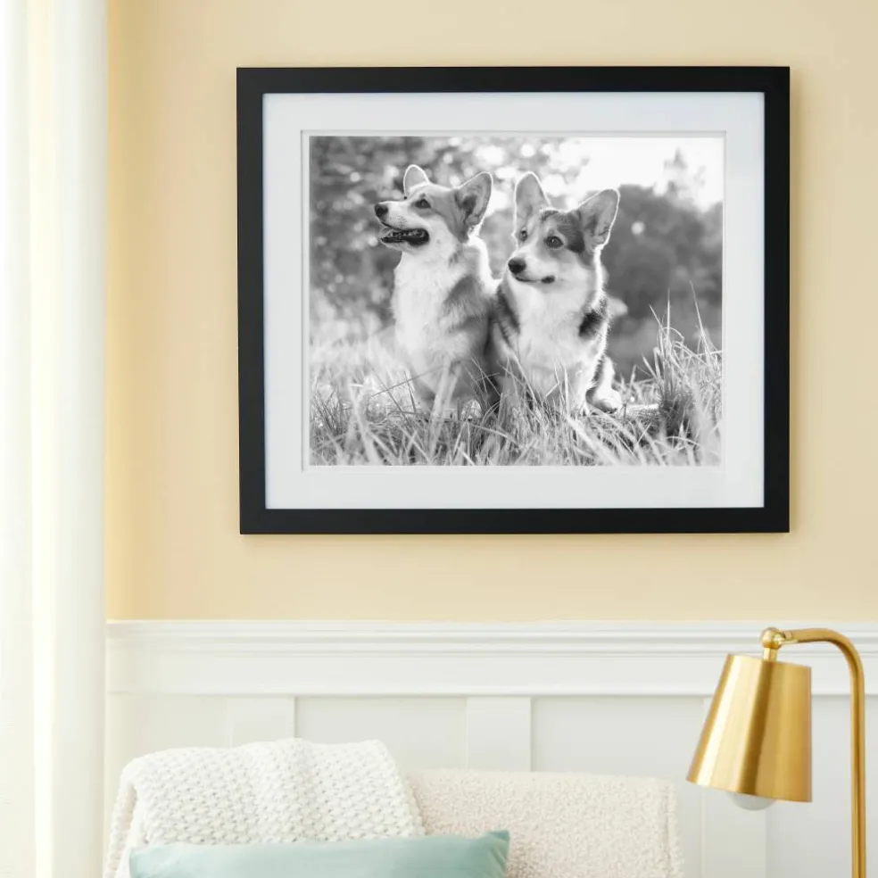 Gallery Black Wall Frame with Double Mat by Studio Décor®