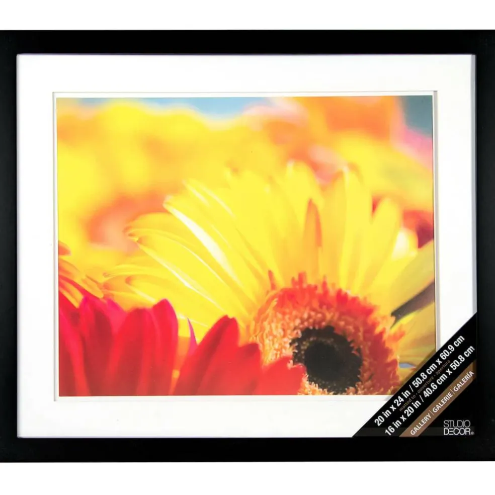 Gallery Black Wall Frame with Double Mat by Studio Décor®