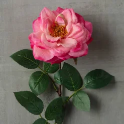 Garden Bloom Orlane Rose Stem Ashland™