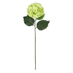 Garden Blooms Hydrangea Stem by Ashland®