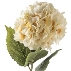 Garden Blooms Hydrangea Stem by Ashland®