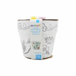 Garden Bugs Ceramic Flower Pot Painting Kit by Creatologyâ„¢
