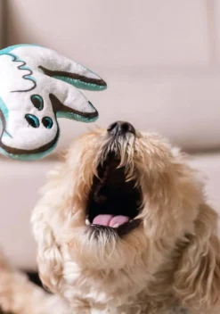 Ghost Squeaky Pet Toy