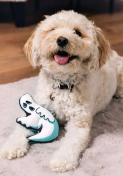 Ghost Squeaky Pet Toy