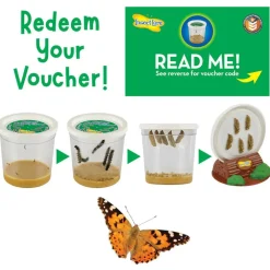Giant Butterfly Garden®