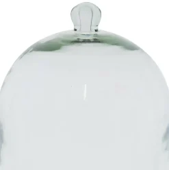 Glass Cloche & Round Wood Tray by Ashland®