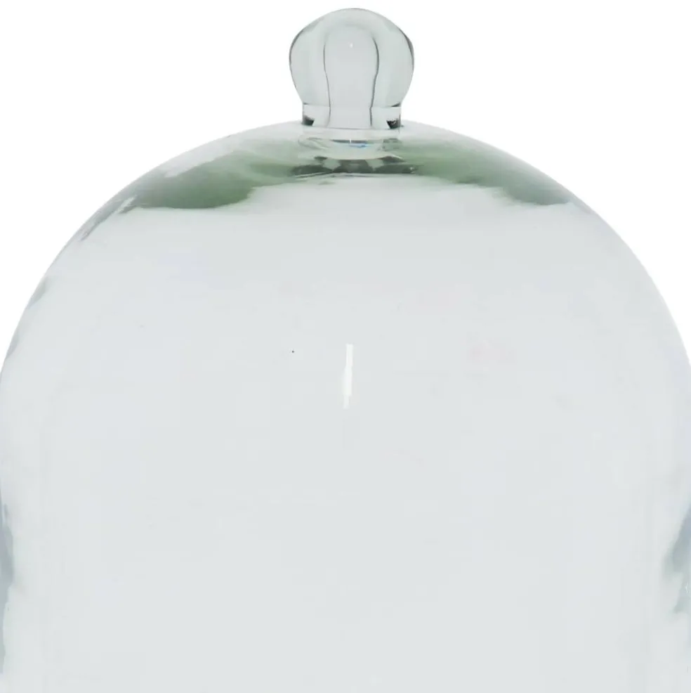 Glass Cloche & Round Wood Tray by Ashland®