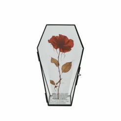 10" Glass Coffin Frame with Stand by Ashland®