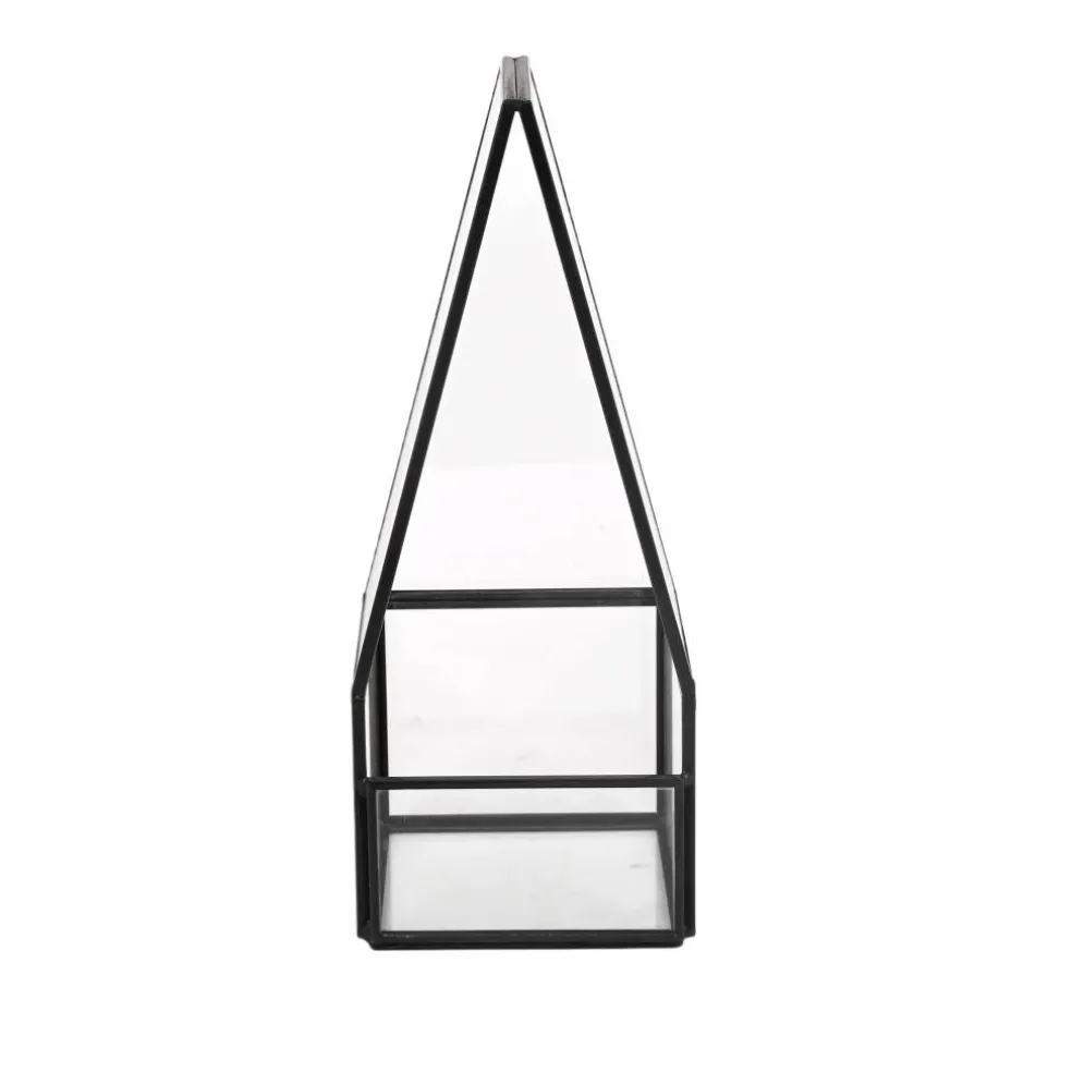 Glass Terrarium by Ashland®