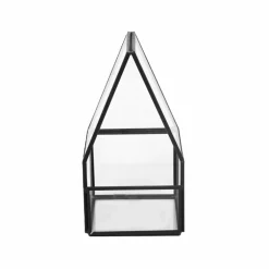 Glass Terrarium by Ashland®