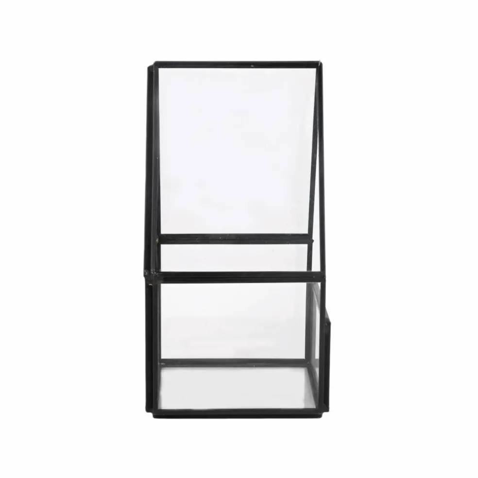 Glass Terrarium by Ashland®