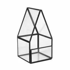 Glass Terrarium by Ashland®