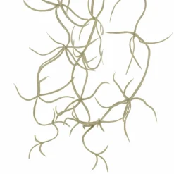 10" Gray Hanging Spanish Moss Pick by Ashland®