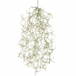 10" Gray Hanging Spanish Moss Pick by Ashland®