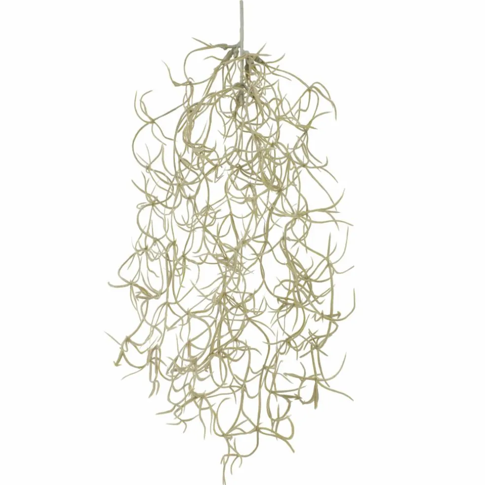 10" Gray Hanging Spanish Moss Pick by Ashland®