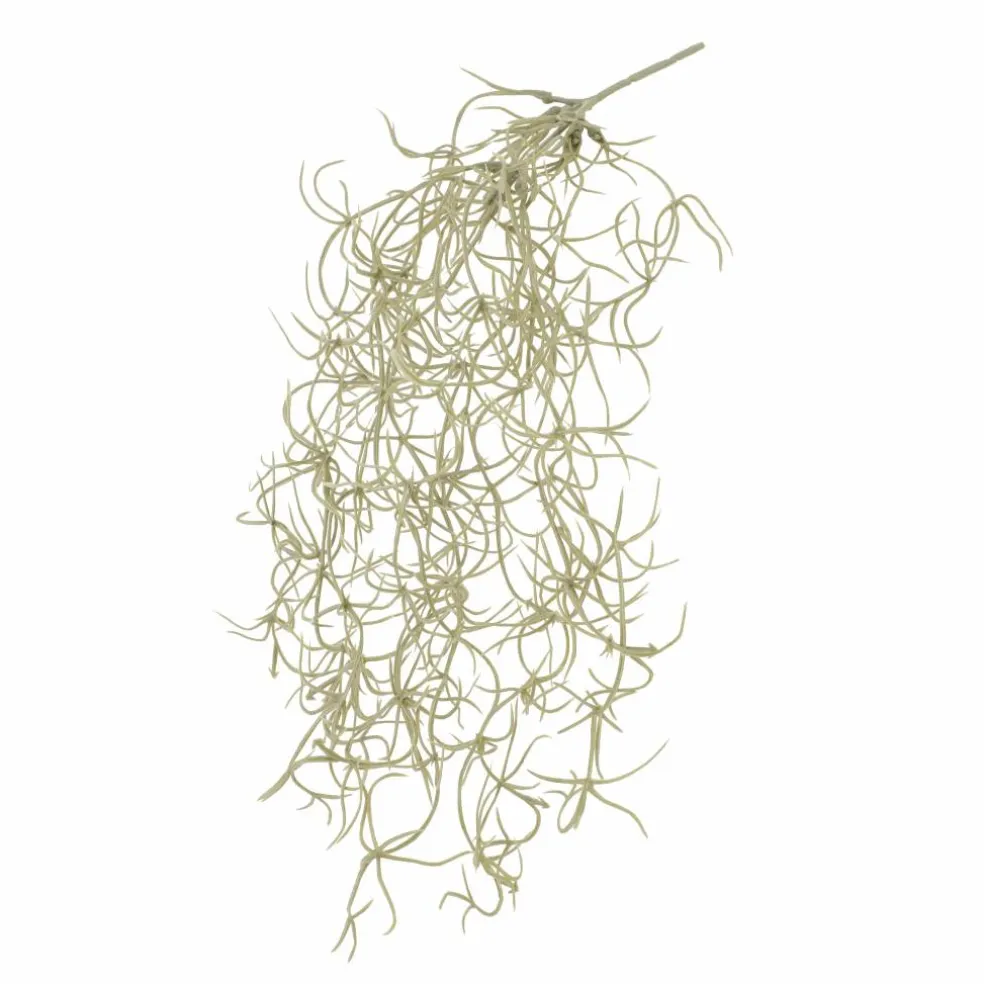 10" Gray Hanging Spanish Moss Pick by Ashland®