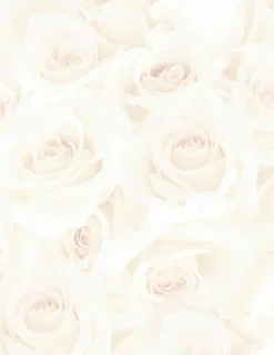Great Papers! Blush Roses Stationery Letterhead, Invitations and Announcements, Printer Friendly, 8.5"x11", 80 Pack