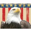Great Papers! Note Card and Envelope, Patriotic with Gold Foil, 4.75" x 3.375"(folded), 20 count