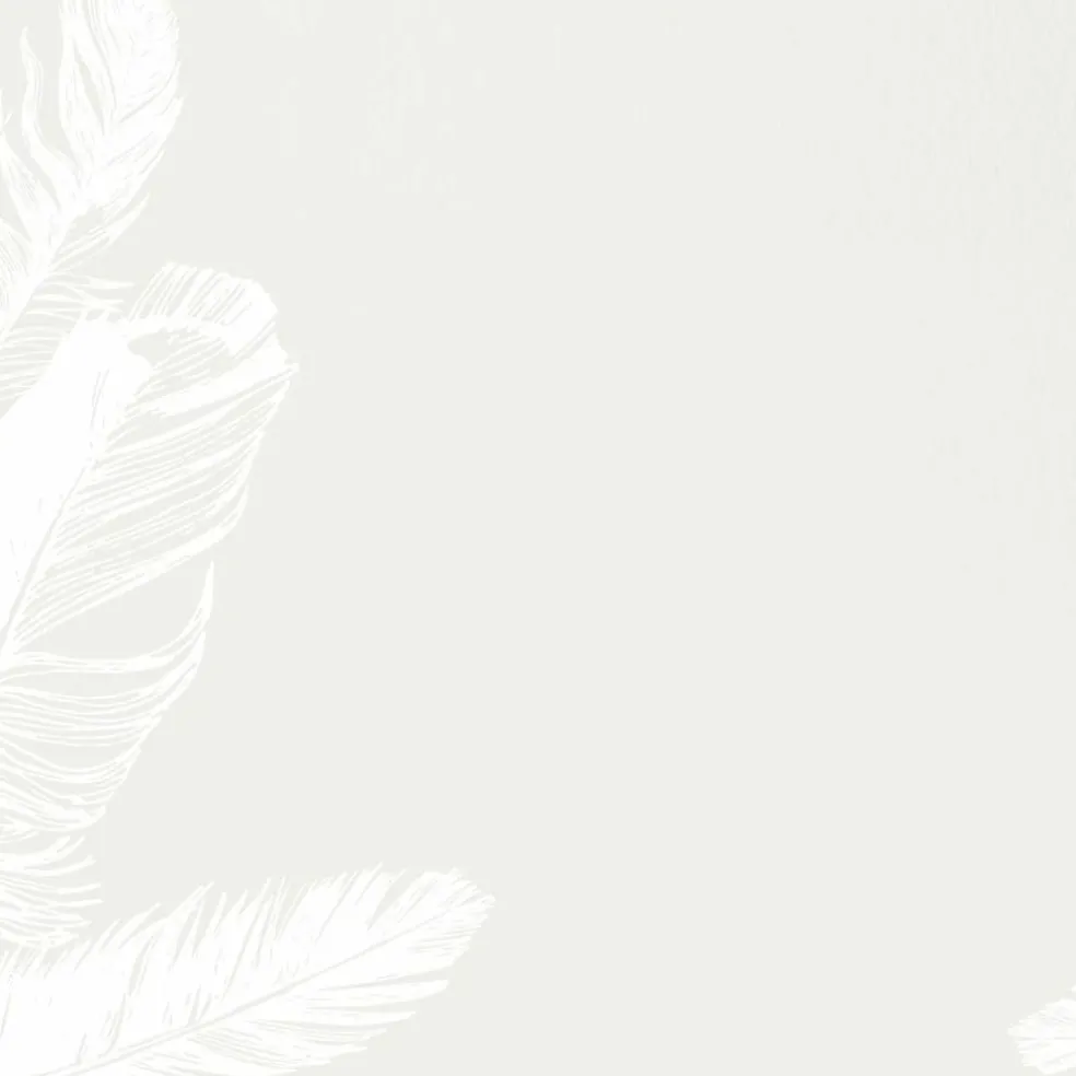 Great Papers! Soft Feathers Stationery Letterhead, Invitations and Announcements, Printer Friendly, 8.5"x11", 80 Pack