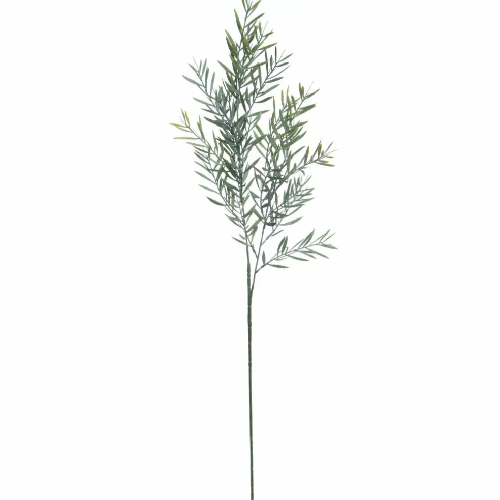 28.5" Green Acacia Leaf Stem by Ashland®