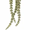 Green Amaranthus Stem by Ashland®
