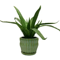 7.25" Green Ceramic Pot with Saucer by Ashland®