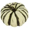 10.5" Green & Cream Decorative Pumpkin by Ashland®