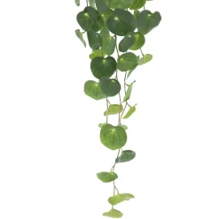 32" Green Dripping Peperomia Plant in Pot by Ashland®