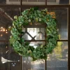 32.25" Green Hydrangea & Sedum Floral Wreath