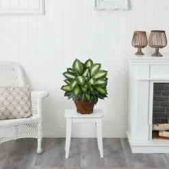 22" Green Triple Golden Dumb Cane Plant with Wood Vase